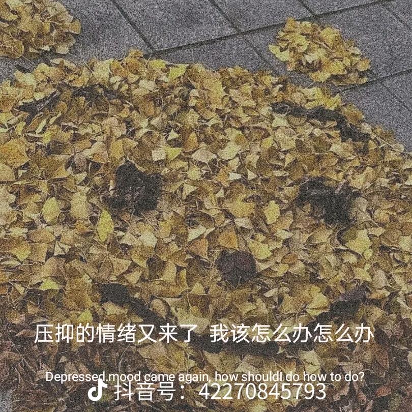 珊