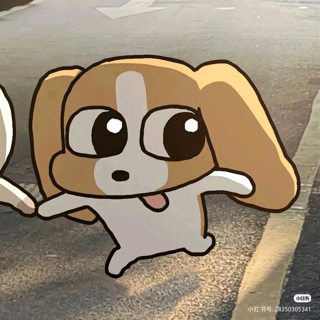 小z