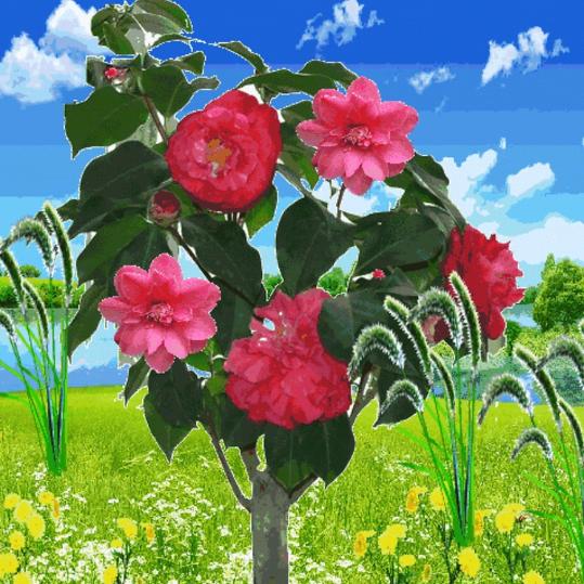 一生平安