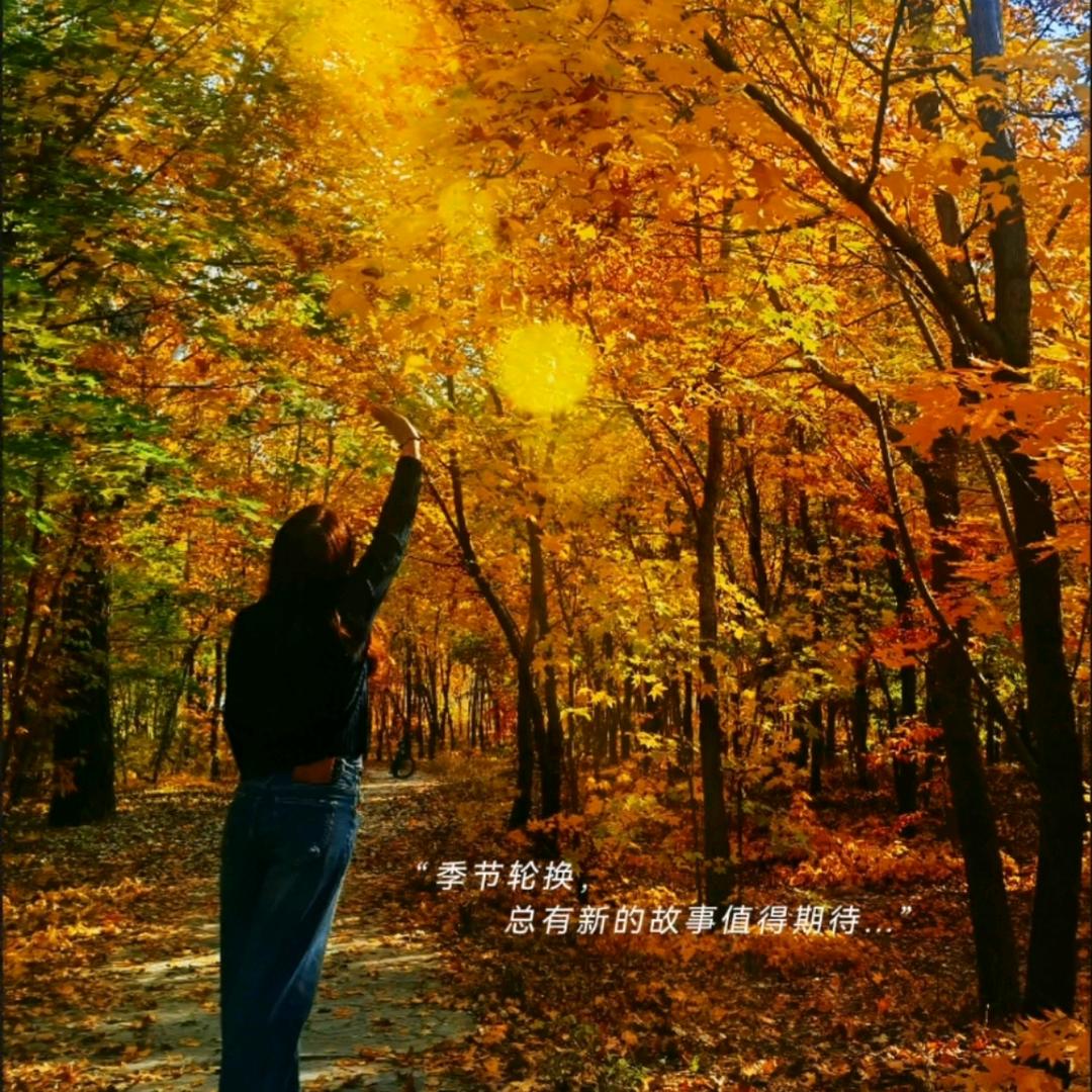 ོ萧 渺