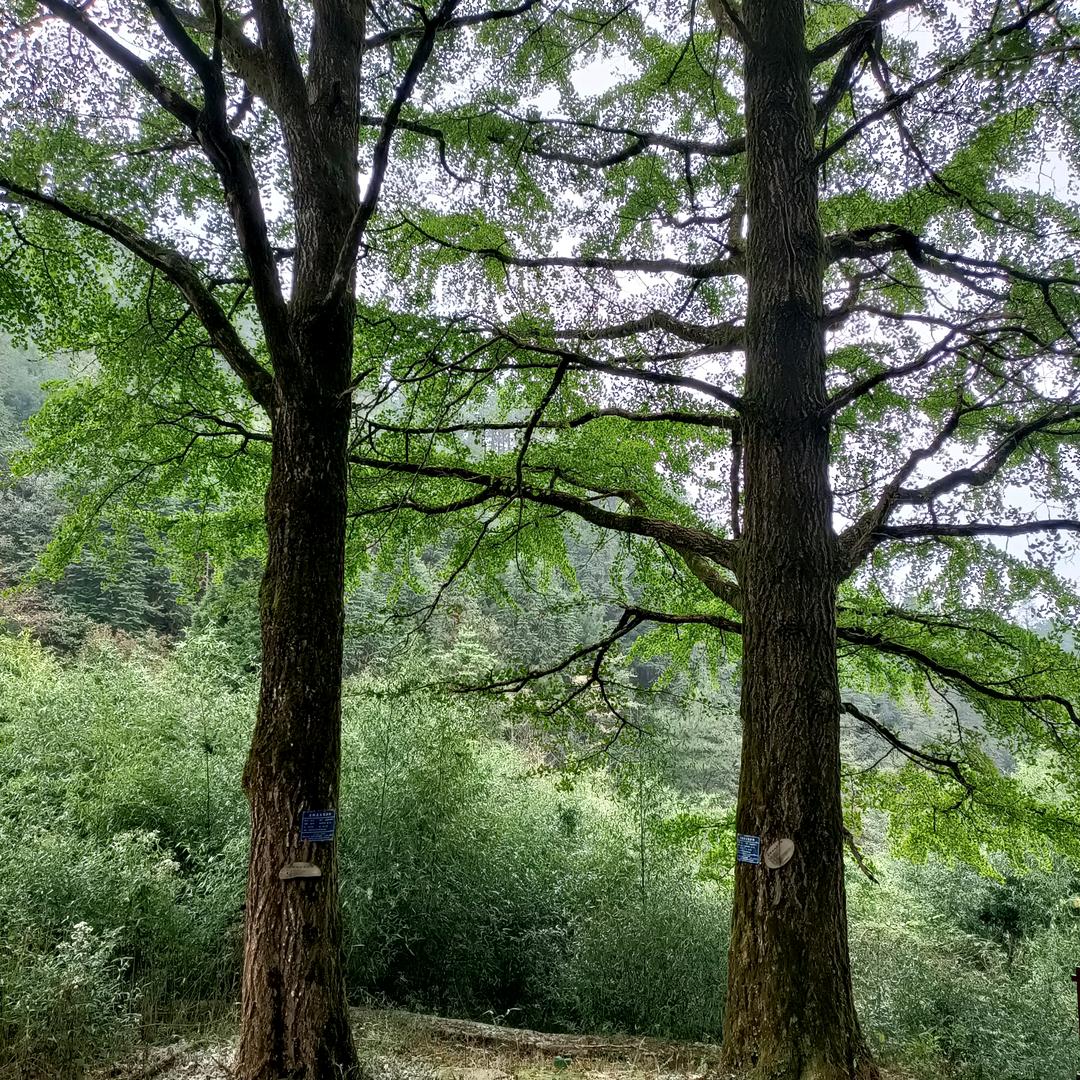 专业钻深水井