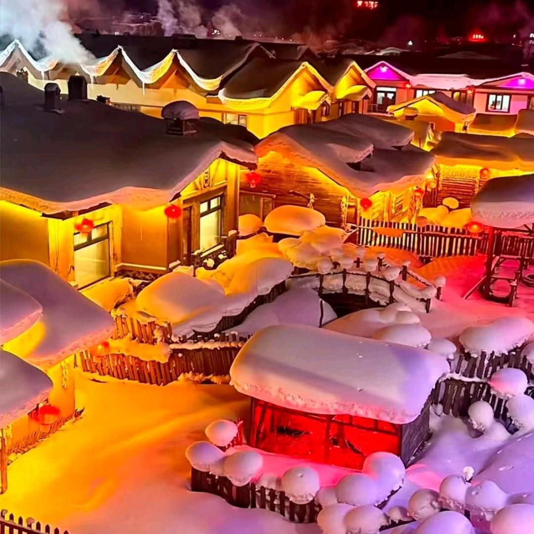 哈~雪-司-导~小野