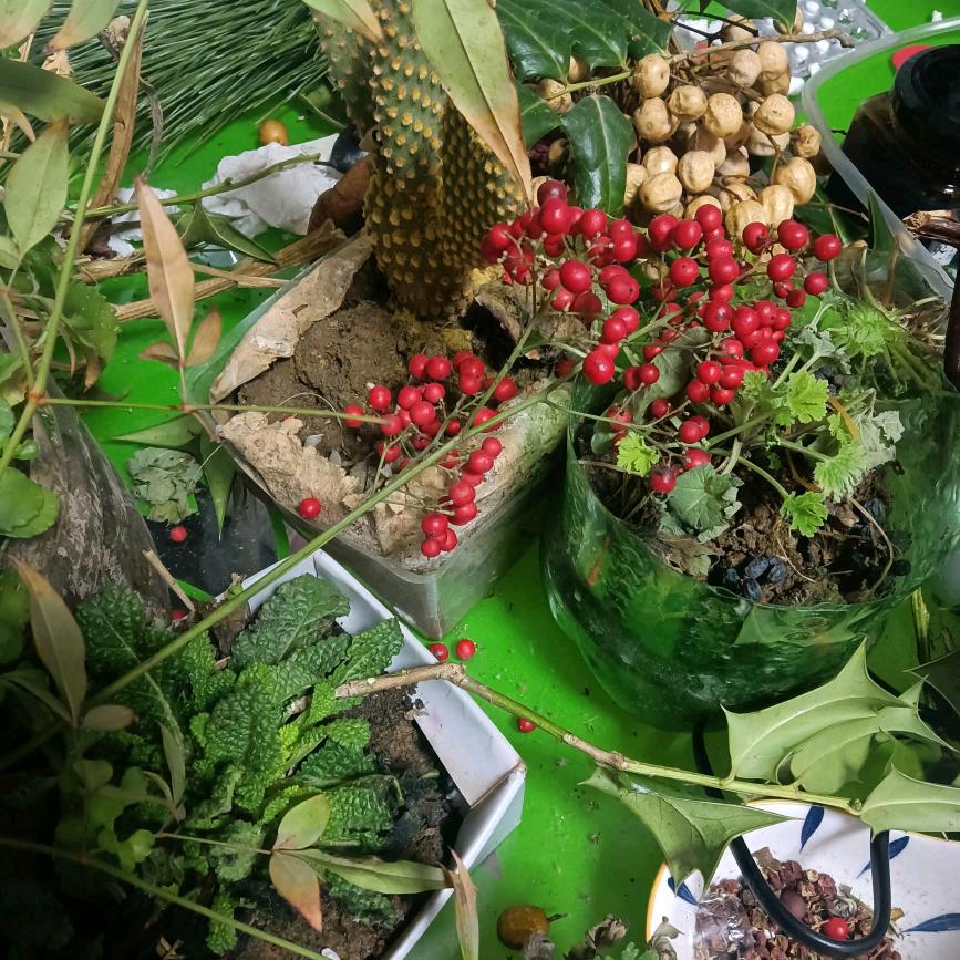 吕姐讲百草2