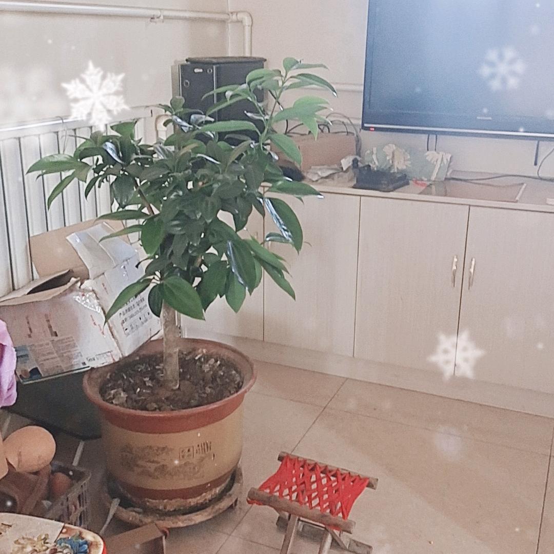 用户4051909171531幸福