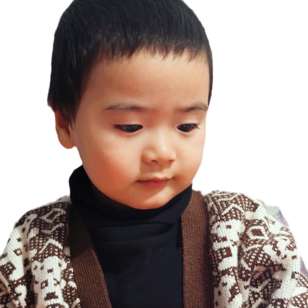 🐯吉祥三宝🐉🐮