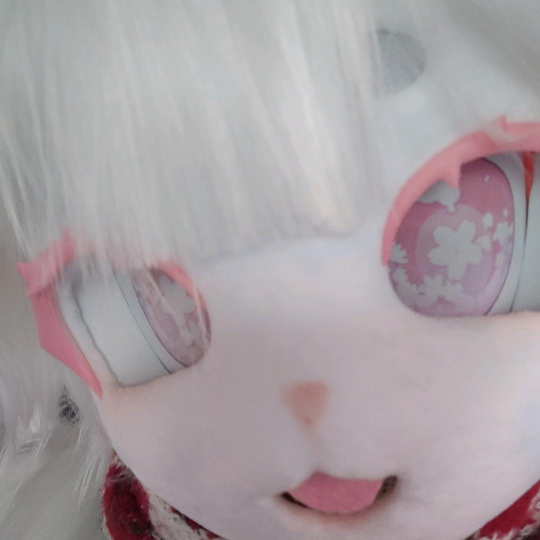 蓁蓁服了
