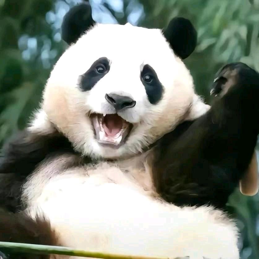 ༺腰子༻