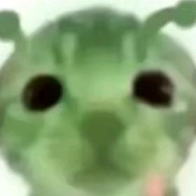 希文也不想痴鱼呀