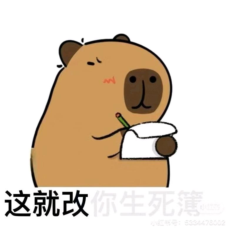 其实我是个剑客
