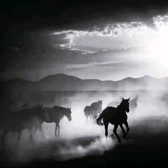 ㅤㅤㅤㅤㅤ  ㅤㅤ  ㅤㅤㅤㅤ