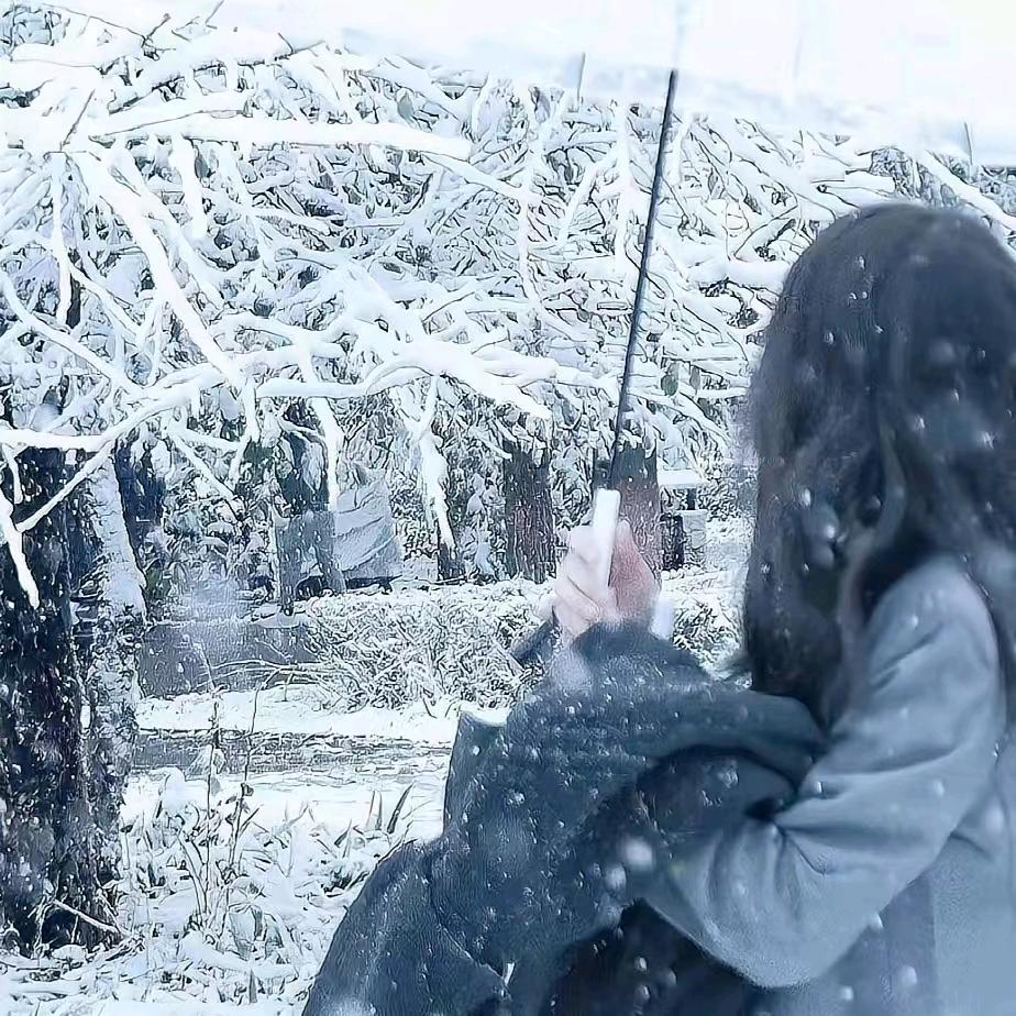 仙侠宇宙（无忧星空）