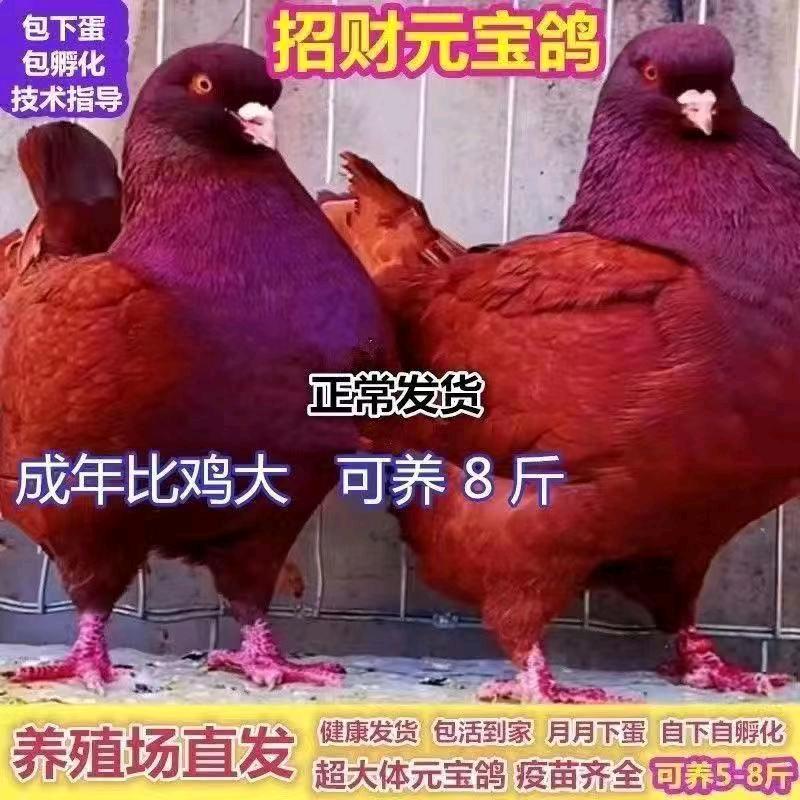 富海养殖场