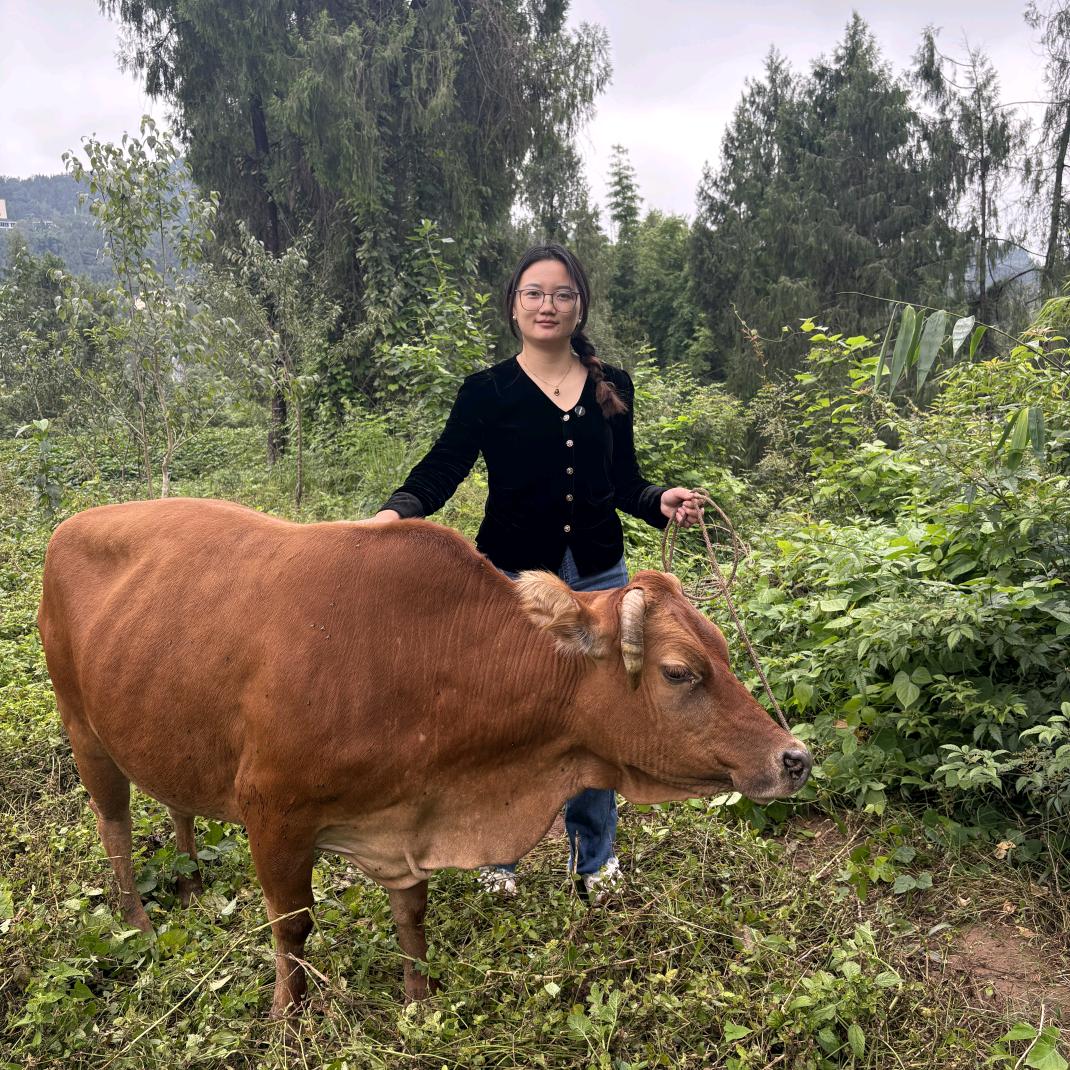 宰牛妹儿土特产