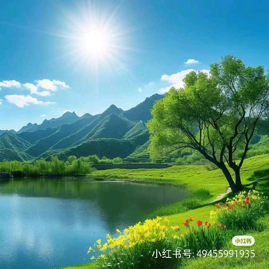 等风来