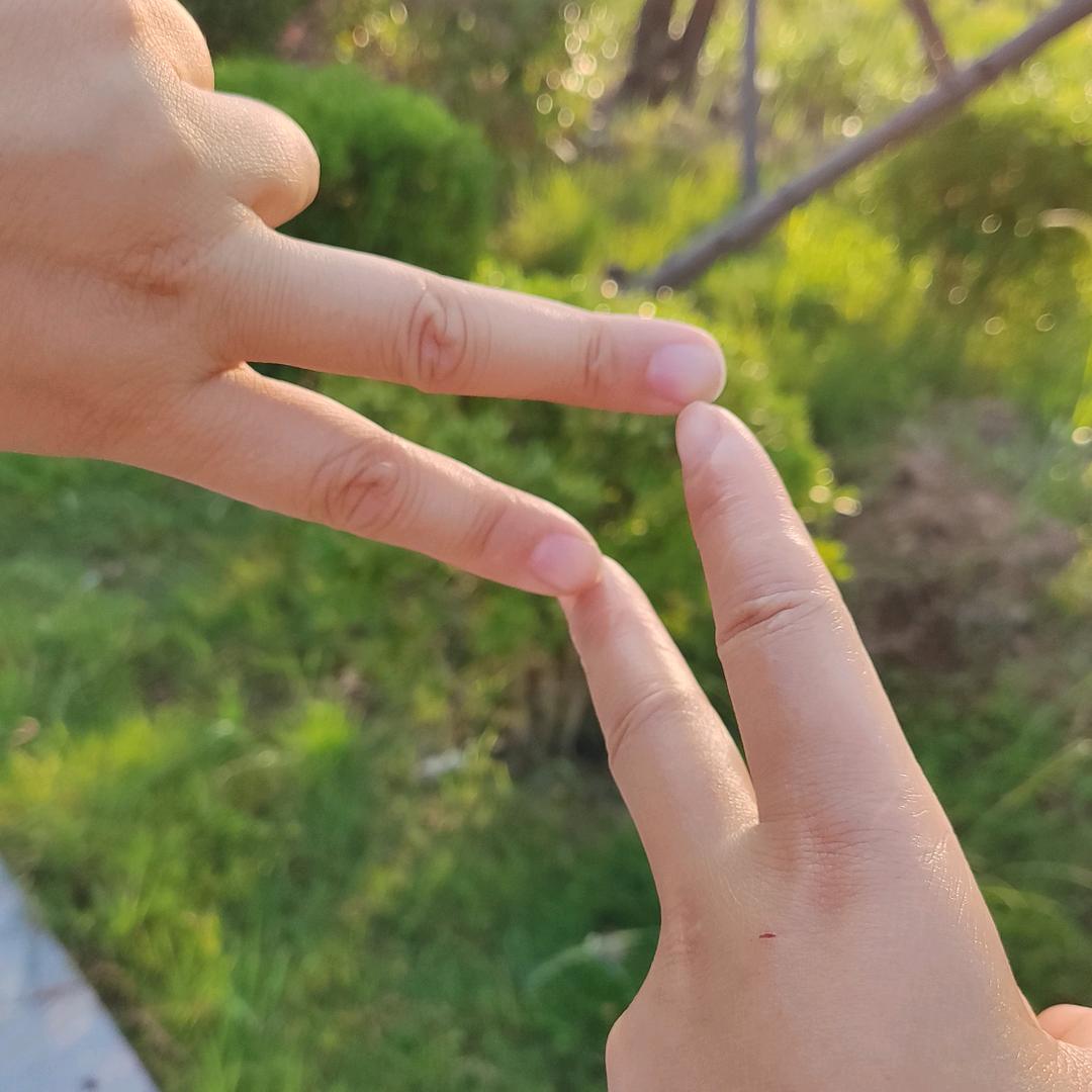 🌻奔跑🏃‍♀️的小🦄