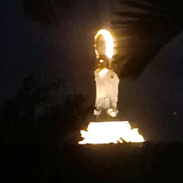 海口第一深情🥳