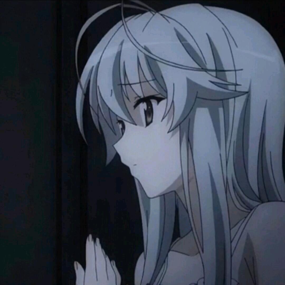 小蝶无错