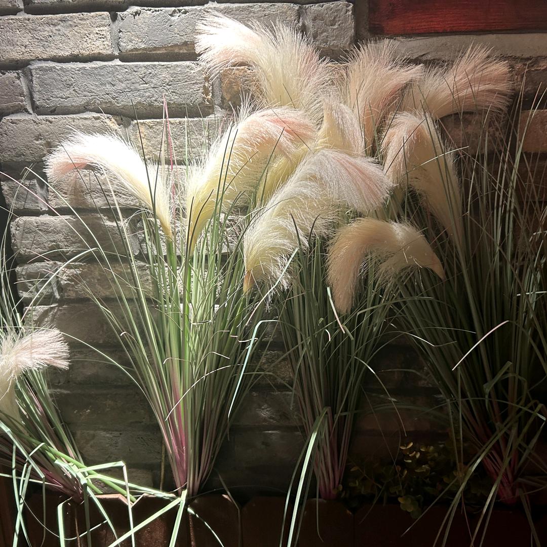 素素小铺