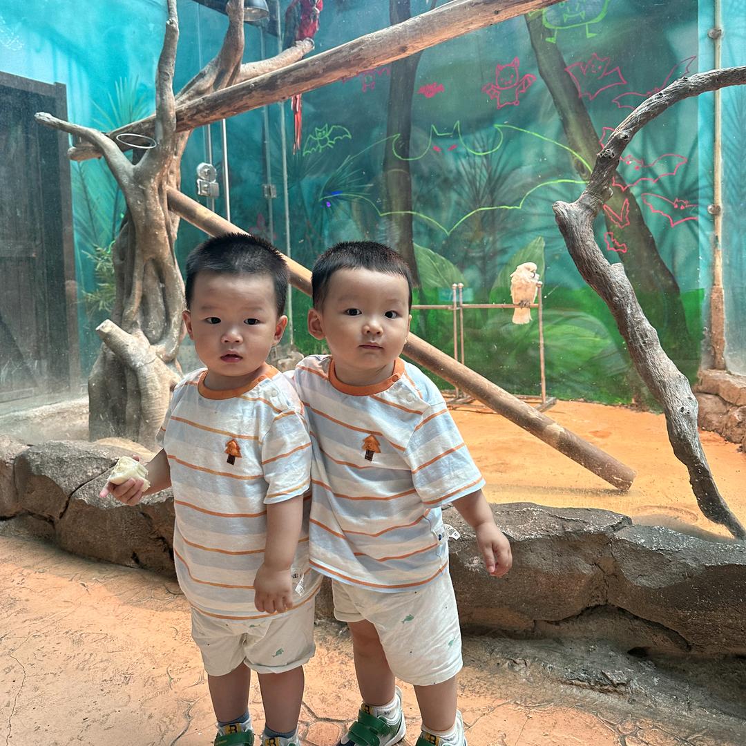 曹丕的老丈不说话