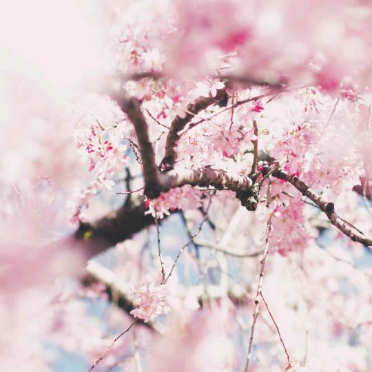 铁东文化宫  铁东小串 肉皮猴