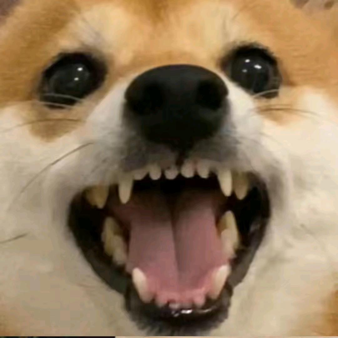 0℃