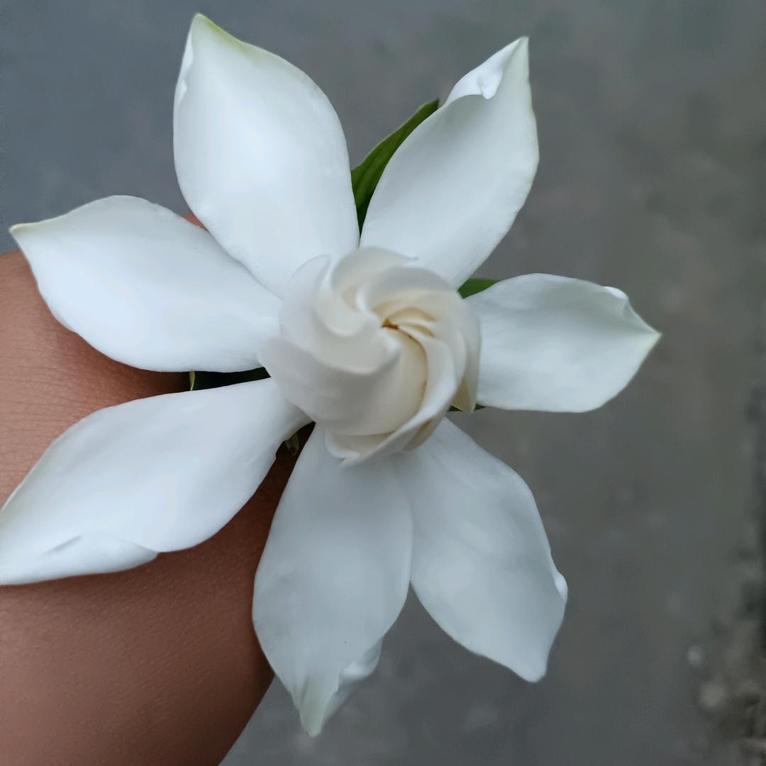 单亲妈妈