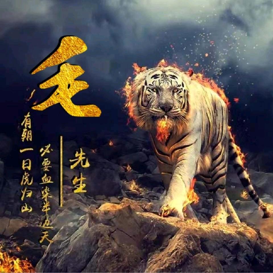 大毛¹²¹⁰🐅