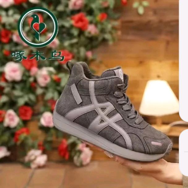 啄木鸟清清二号店