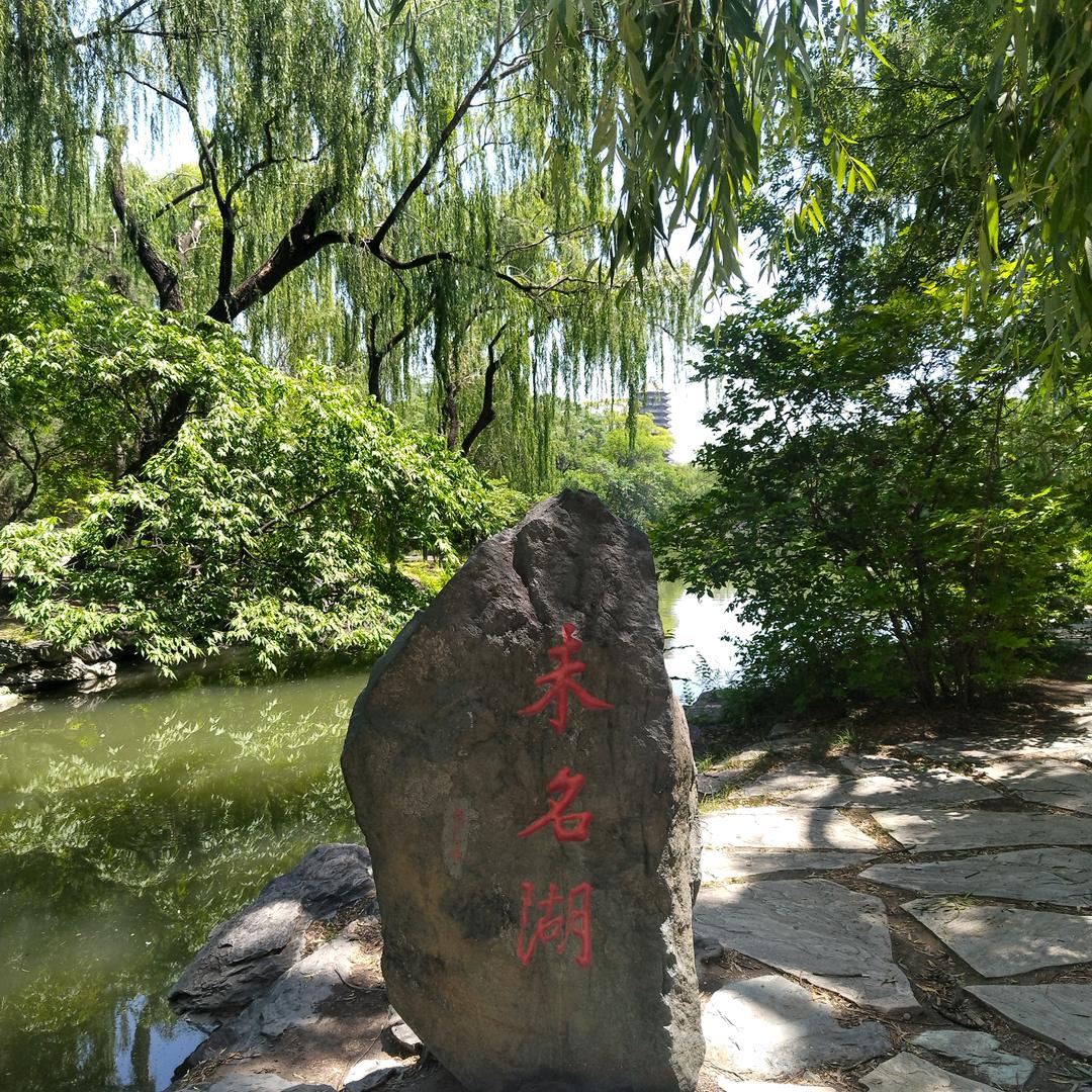 王学功 高考免费咨询 北外博士 北大访学