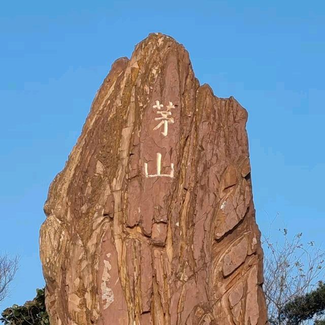 修悟