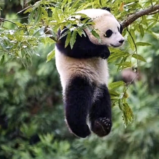 《好☜；有财》