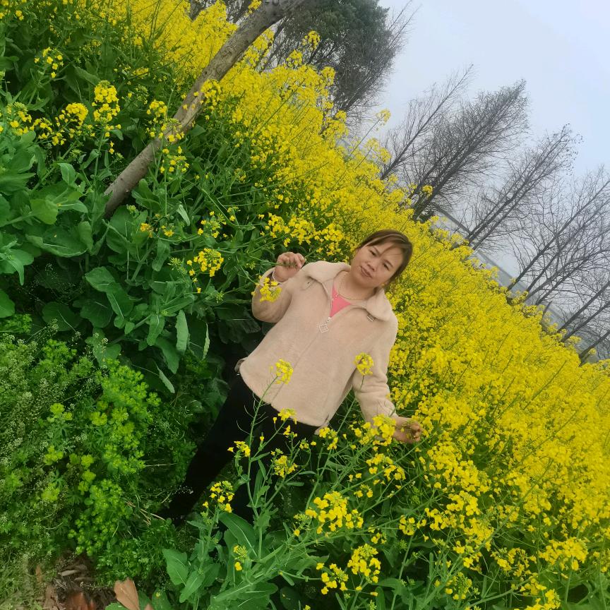 王三姐