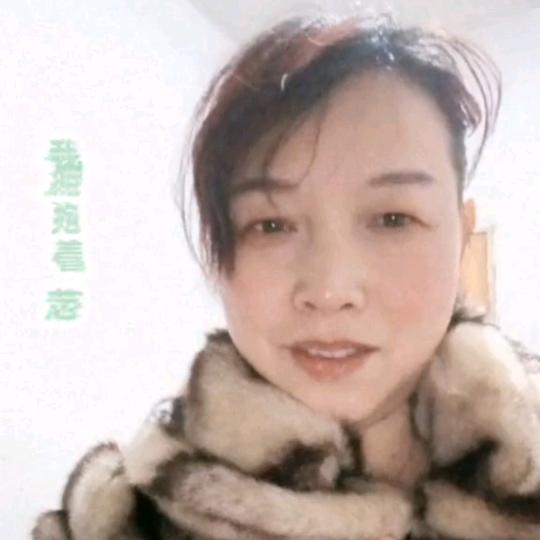 常德燕子