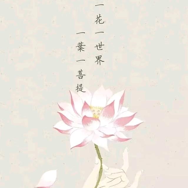 锦诚文化🔥3