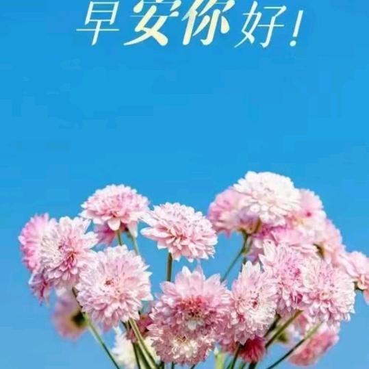 王皓