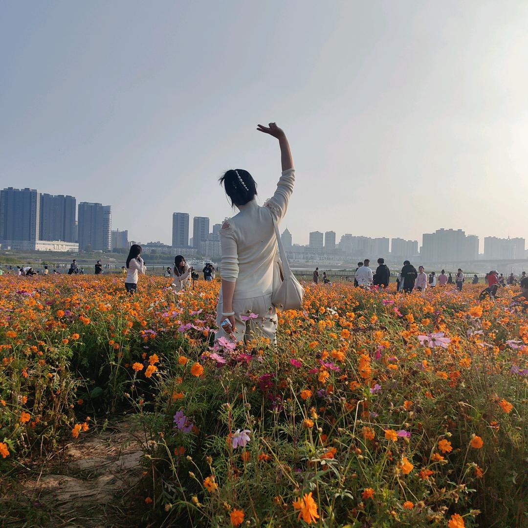 张上明珠。