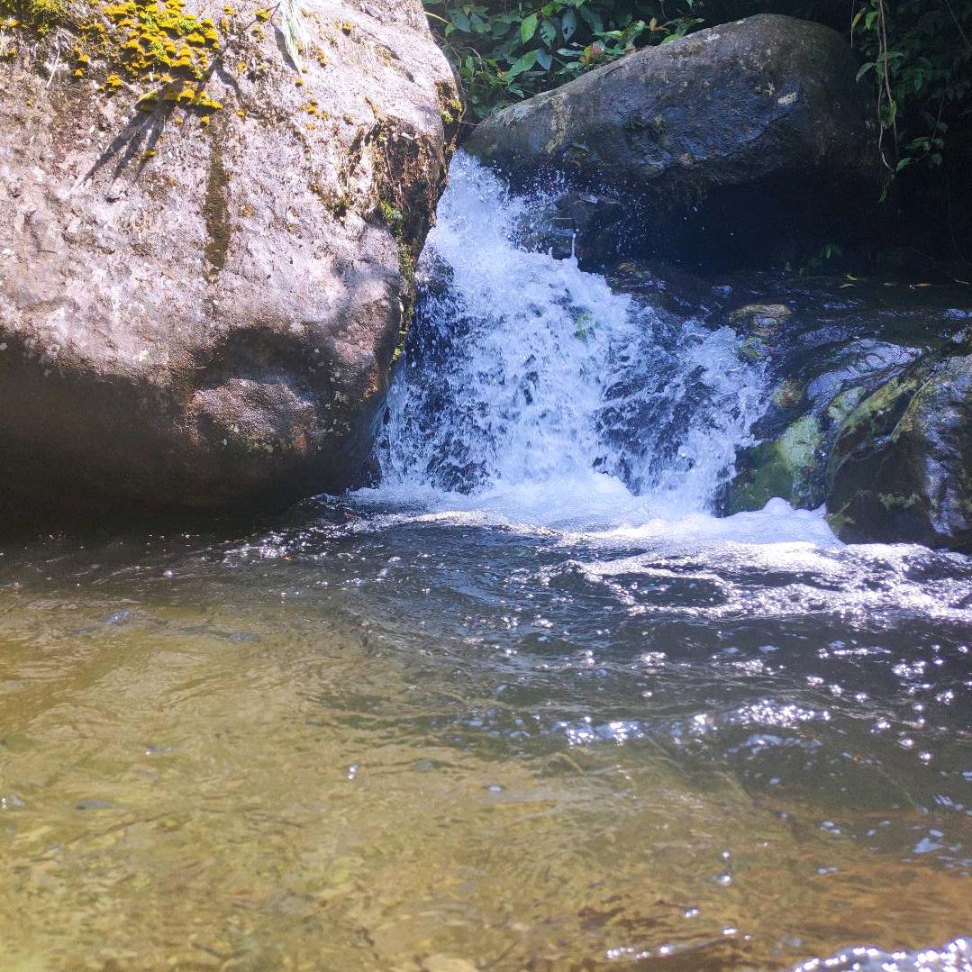 小宝🌵💦🌴🕊️