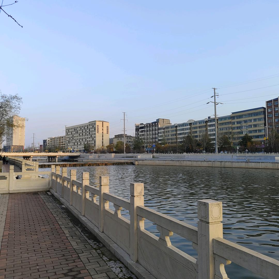 小 白