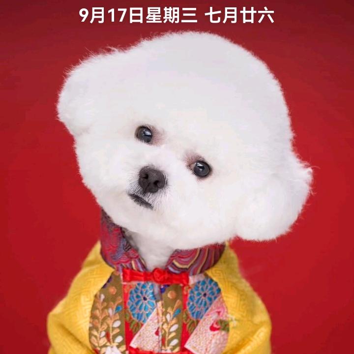 思念