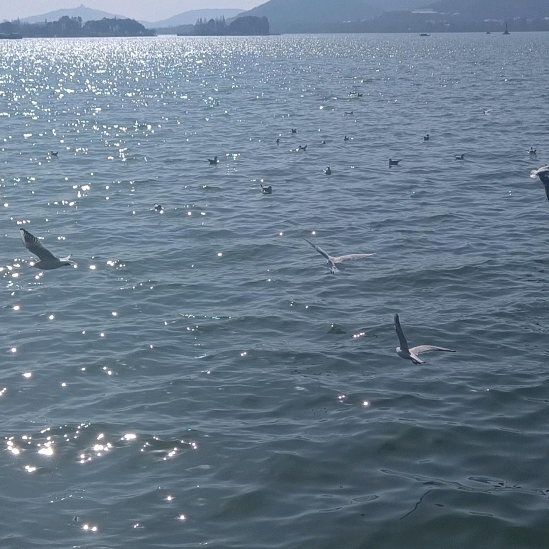 香宁