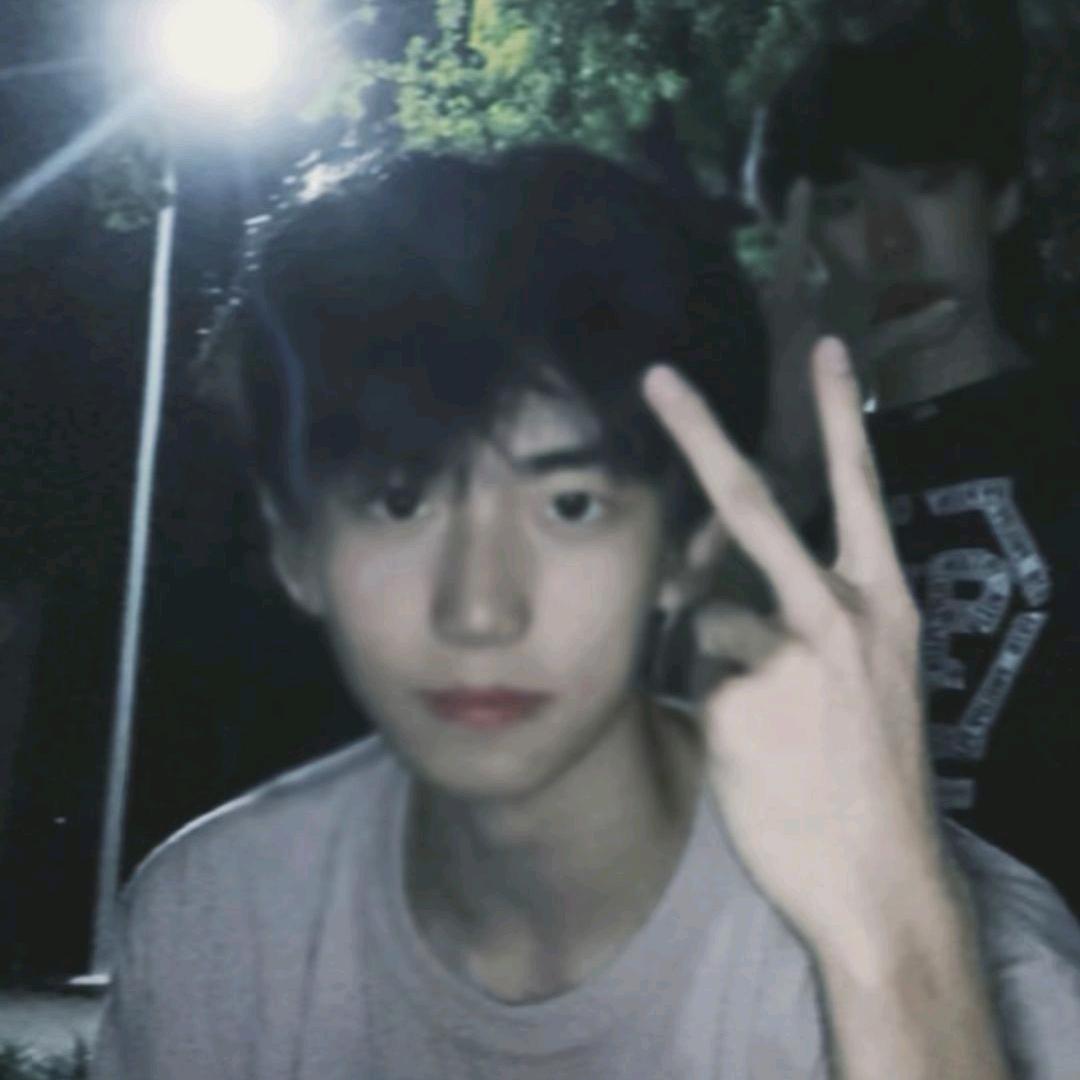 星y.