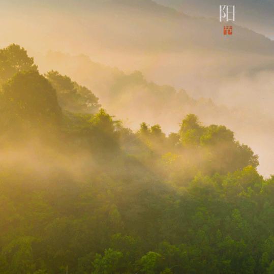 拾年混沌