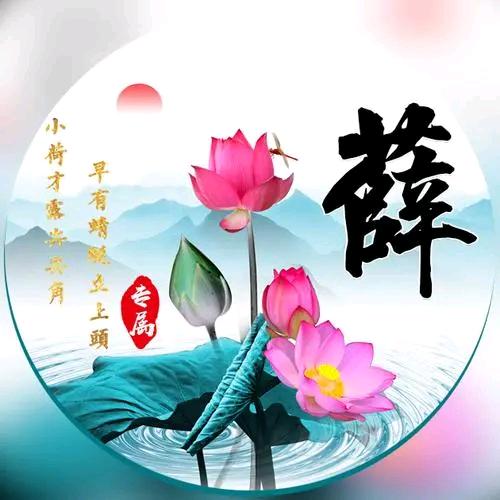 老薛(薛老板)