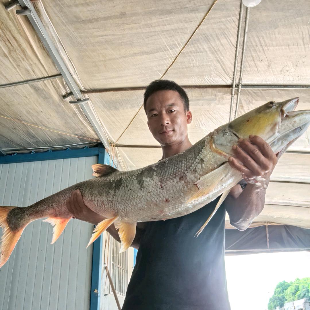 (兄弟草莓采摘园)