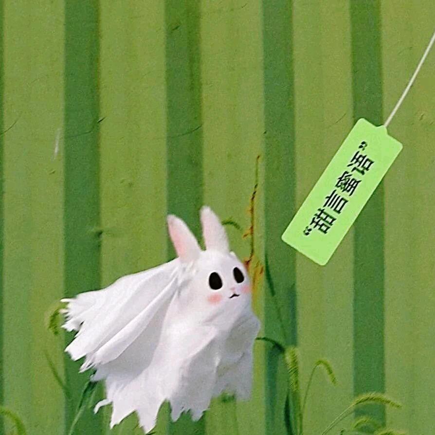 第2⃣️5⃣️个小时