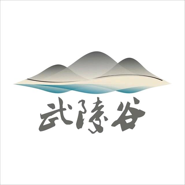 湘商~怀化老板