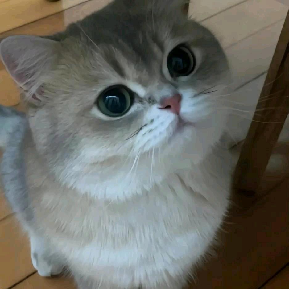 总想哭