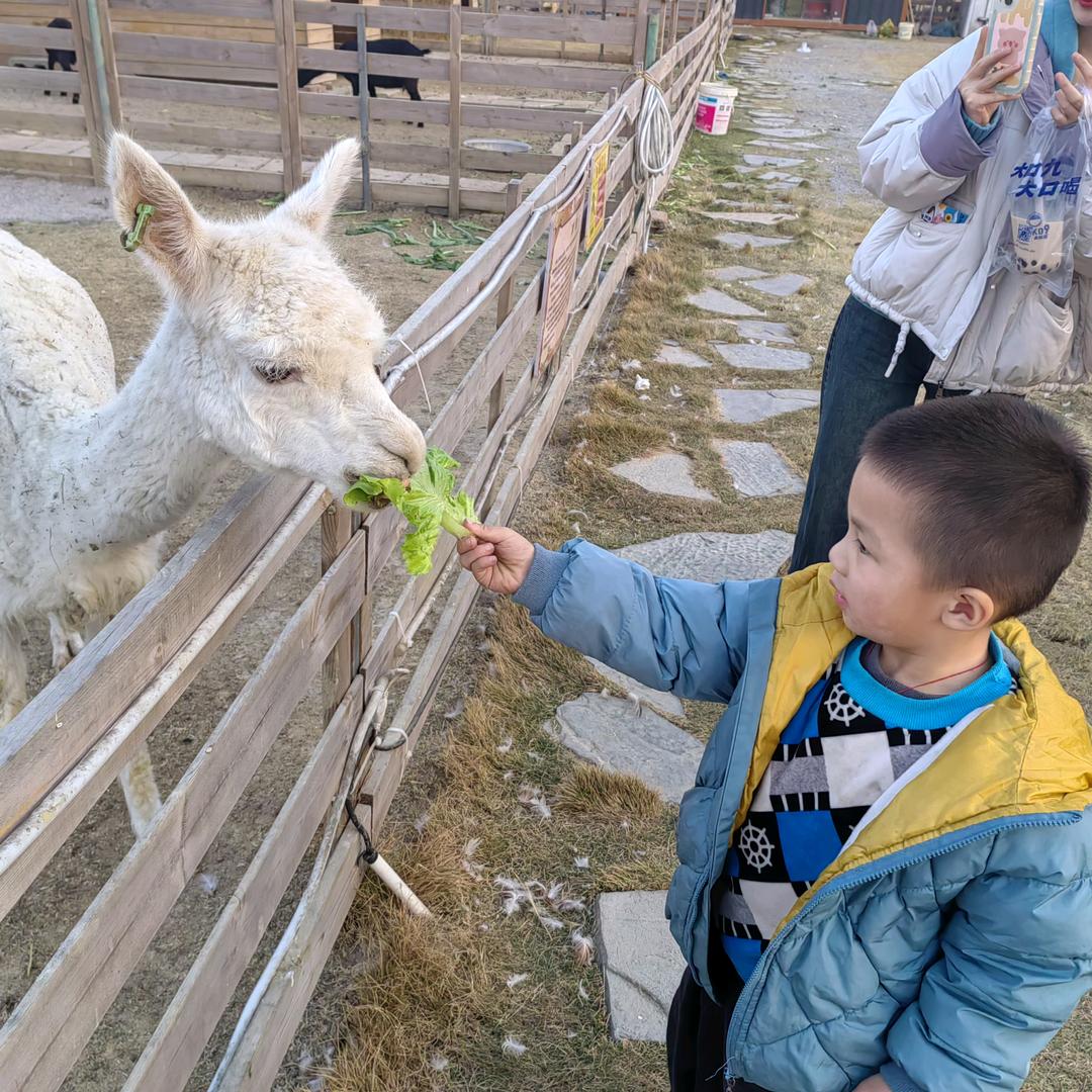 小小。。。。。。