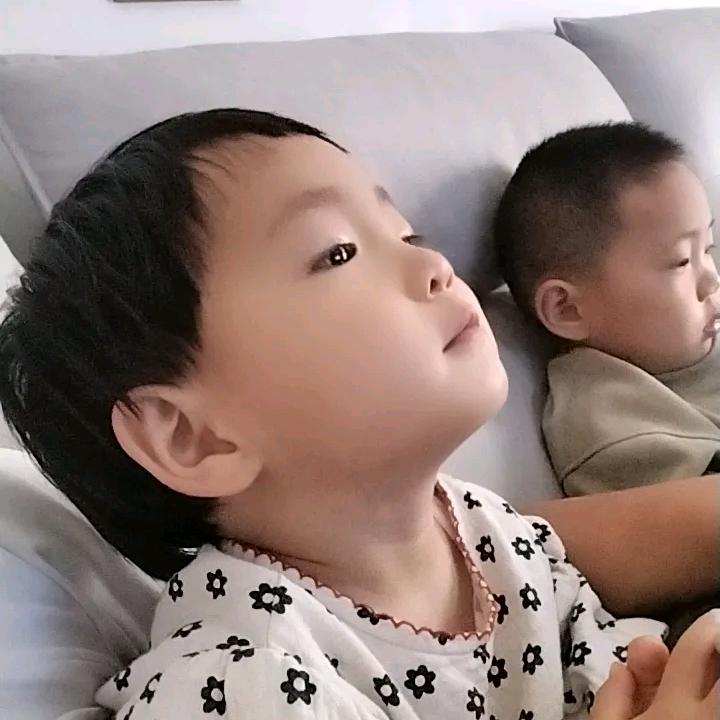 @礼泉最后一个老实人