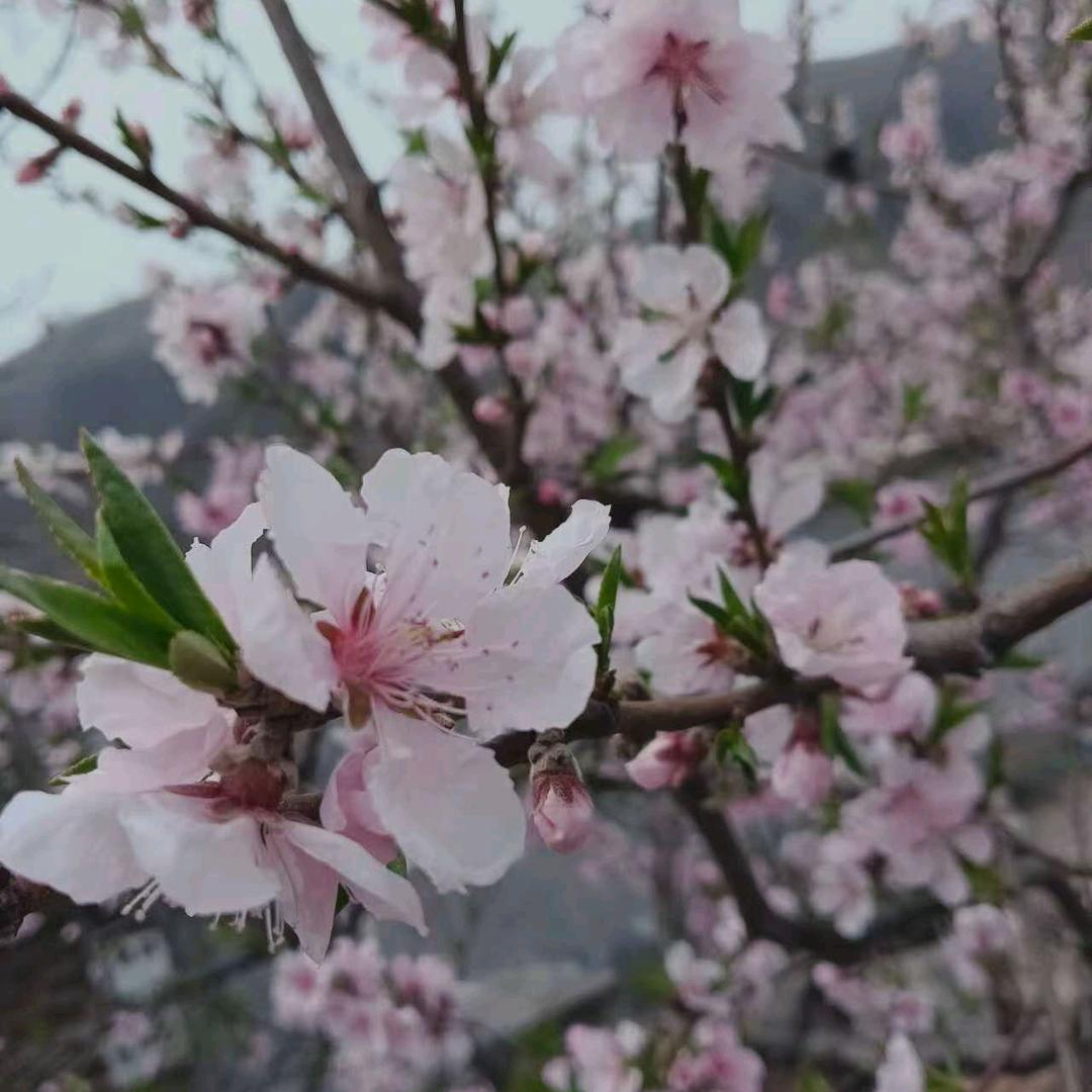 快乐每一天